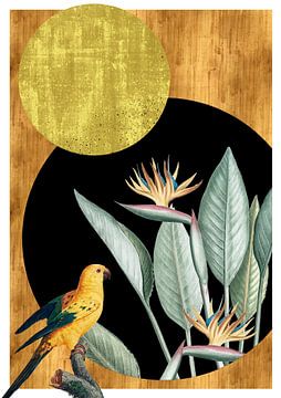 Bird and flowers in circles by Jadzia Klimkiewicz