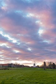 Bergmolen van Anzegem van Marcel Derweduwen