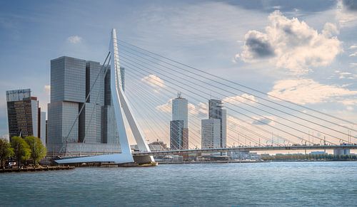 0572 Rotterdam II