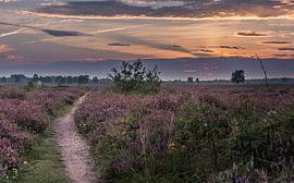 Sonnenuntergang in der Heide von Ingrid Kerkhoven Fotografie