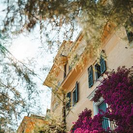 Geel huis met paarse Bougainvillea bloemen, Cinque Terre van Liz Schoonenberg