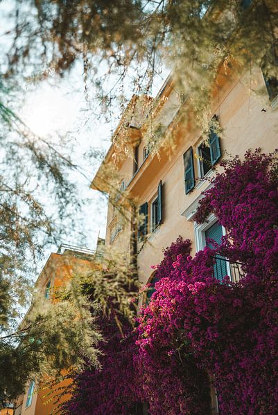 Maison jaune avec des fleurs de bougainvilliers violettes, Cinque Terre par Liz Schoonenberg