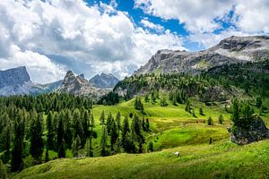 Sommerliche Alpenlandschaft in den Dolomiten bei den Cinque Torri
