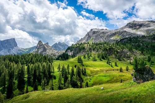 Summer Alpine Landscape in Dolomites near Cinque Torri
