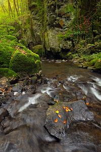 A touch of Autumn