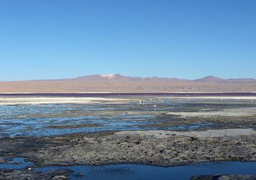 'Water en zout', Bolivia sur Martine Joanne