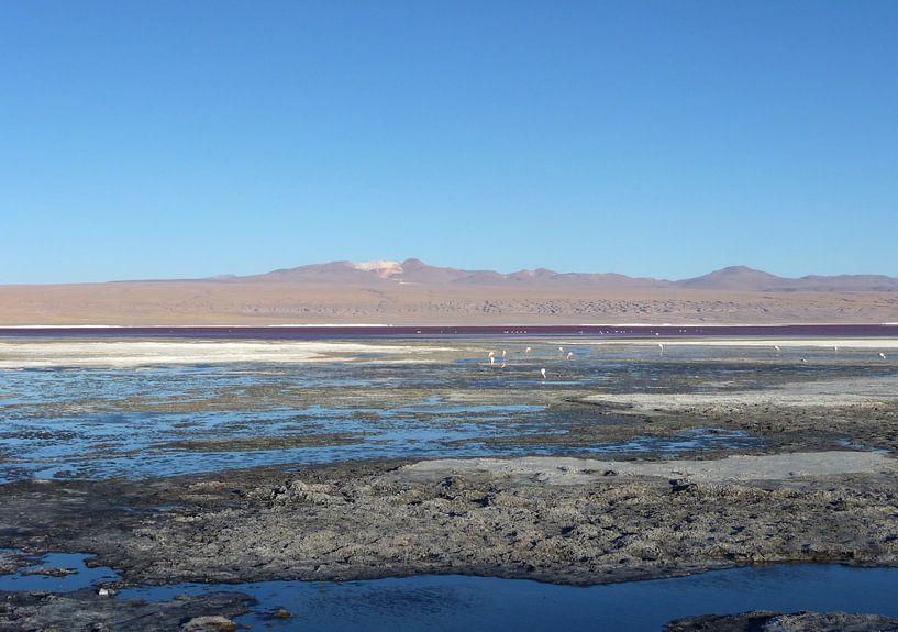 'Water en zout', Bolivia von Martine Joanne