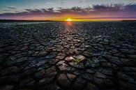 Nederlandse Droogte van Mario Calma thumbnail