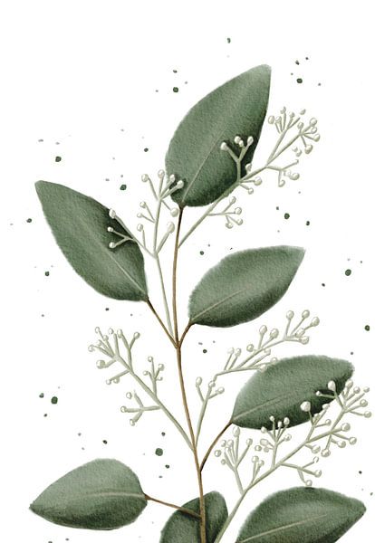 Eucalyptus grand avec des feuilles grossières par Anke la Faille