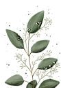 Eukalyptus groß mit groben Blättern von Anke la Faille Miniaturansicht