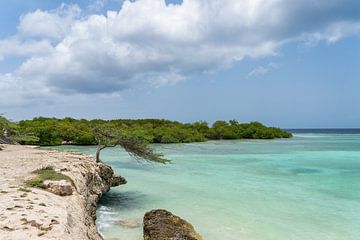 Aruba-Episode: die an der Küstenlinie