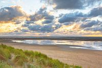 beach, sea, dunes, wadden island
