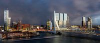 Rotterdam Erasmusbrug by night by Leon van der Velden thumbnail