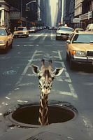 Giraffe in de stadsjungle