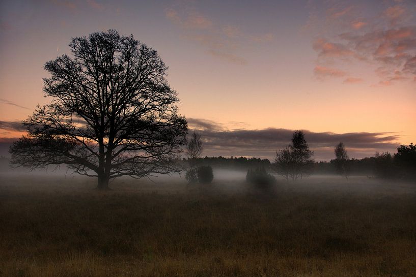 Emerging evening fog over the moors by Ger Doornbos
