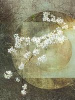 Bloesem. Japandi stijl. Wabi-Sabi. 5