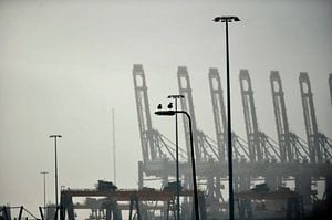 Maasvlakte, Hafenansichten der Industrie