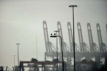 Maasvlakte, haven uitzicht op industrie van Blond Beeld
