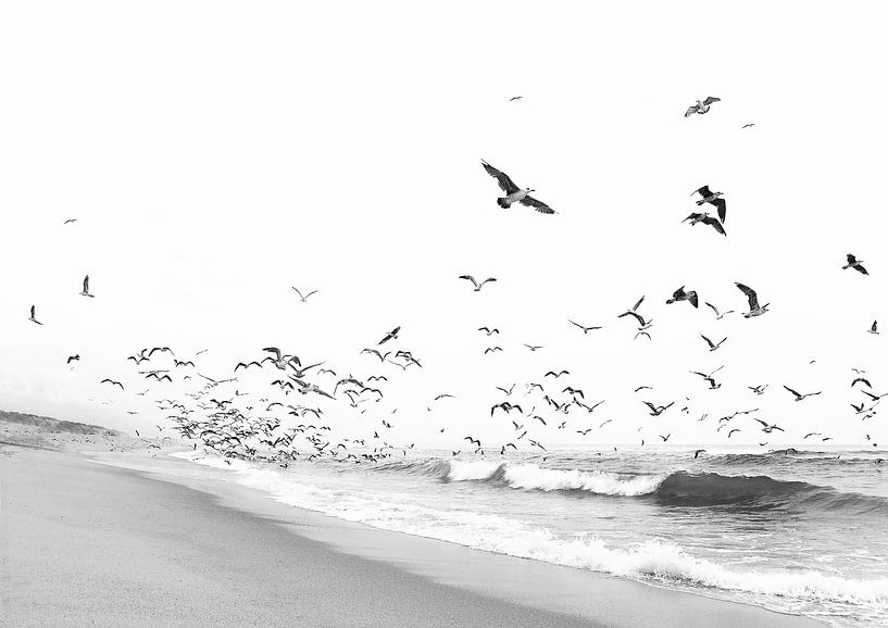 Meereslandschaft BW von Kathrin Pienaar