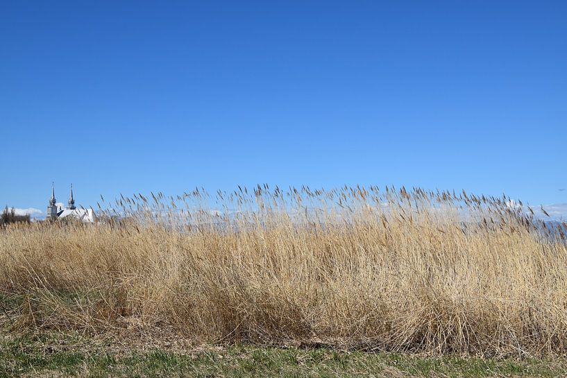Un champ en été sous un ciel bleu par Claude Laprise