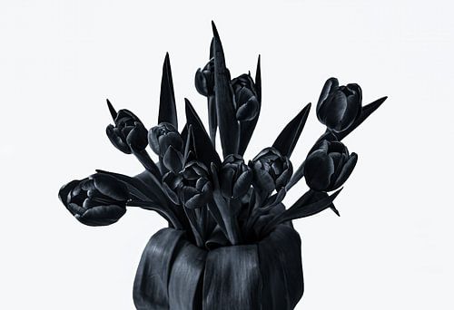 Tulpen witte bg antraciet