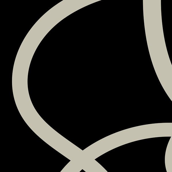Abstract Organic Lines nr. 3 van Dina Dankers