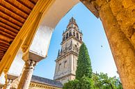 Tower Mezquita (Mezquita-Catedral de Córdoba) by Joke Van Eeghem thumbnail