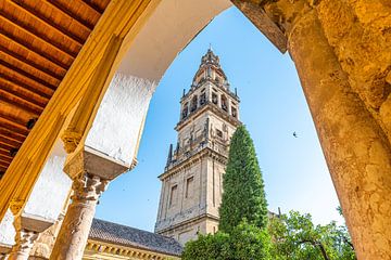 Tower Mezquita (Mezquita-Catedral de Córdoba) by Joke Van Eeghem
