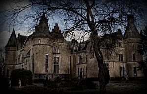 Castle Du Faing by Eus Driessen