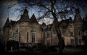 Castle Du Faing