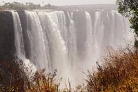 Vic falls