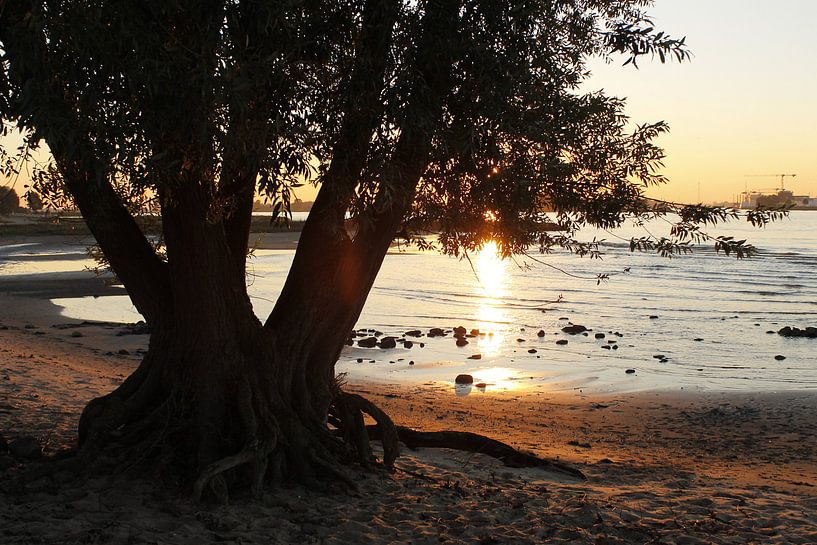 Merwede bij Werkendam by Hanneke van Lit