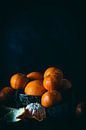Sinaasappels van Daisy de Fretes thumbnail