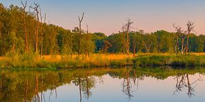 Panorama eines Sonnenaufgangs in Appelbergen