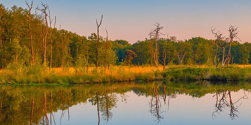 Panorama of a sunrise in Appelbergen