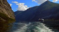 Fjord in Noorwegen van Willem van den Berge thumbnail