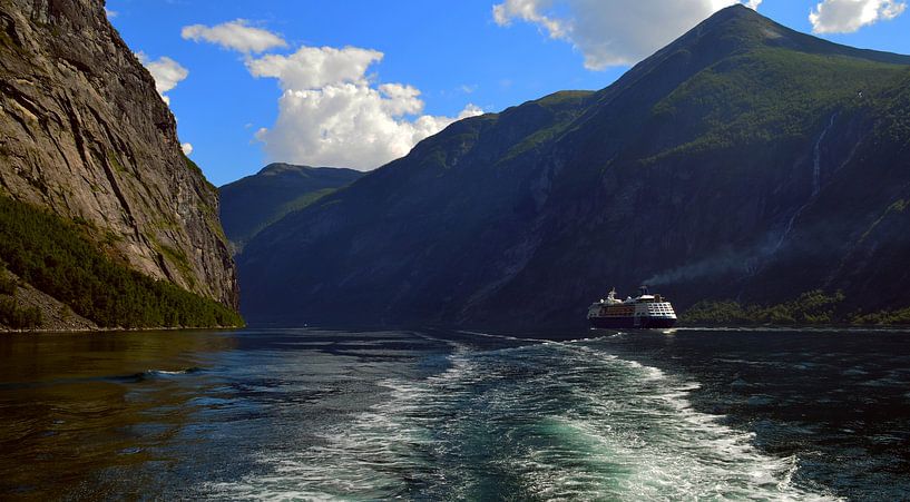 Fjord in Noorwegen von Willem van den Berge