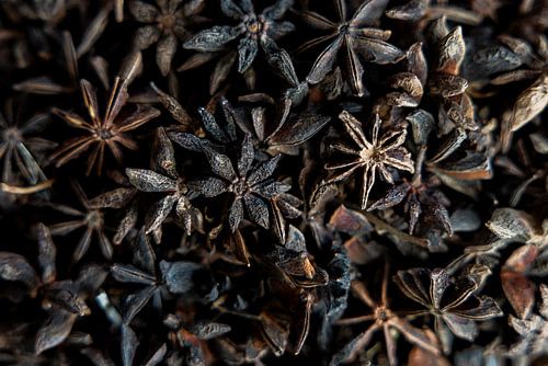 Étoile d'anis sur un marché marocain – Des épices authentiques aux teintes chaudes