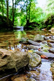 Könnte dies  von Dan Photo Shaman