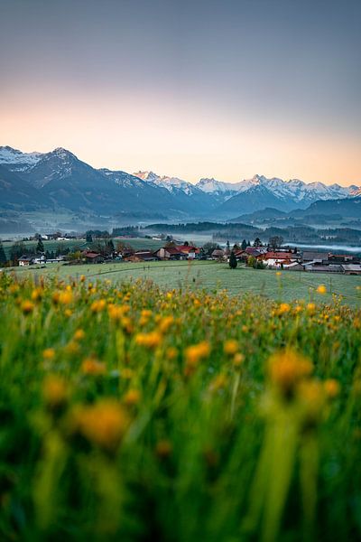 Flowery view of the Allgäu Alps by Leo Schindzielorz