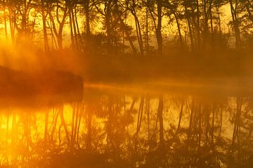 Sonnenaufgang  Hatertse Vennen