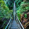 Hängebrücke vor der Montezuma Wasserfällen von Patrick Schwarzbach