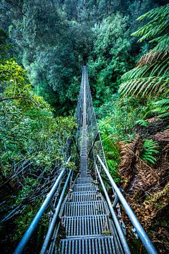 Suspension bridge in front of the Montezuma waterfalls by Patrick Schwarzbach
