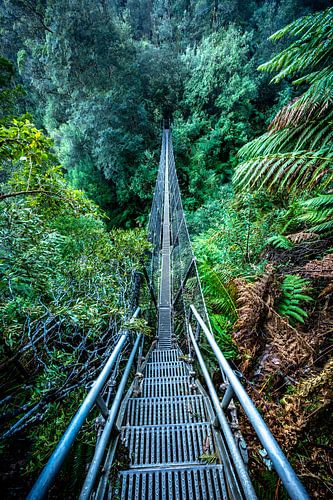 Pont suspendu avant les chutes de Montezuma
