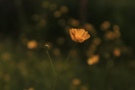 Die Welt ist klein von EJ photography