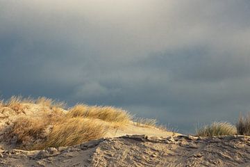 Dune dans la lumière du matin sur Annett Mirsberger