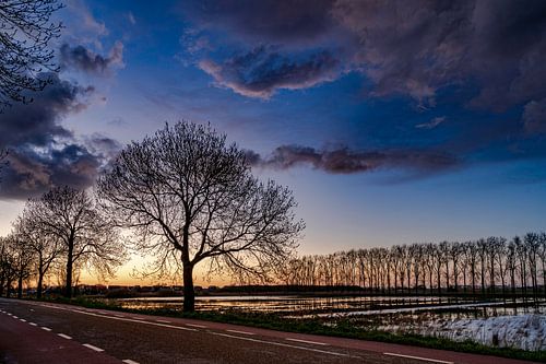 Landschap in de Langstraat