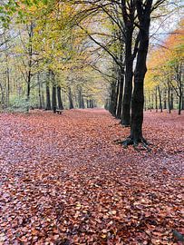 Autumn! by Astrid Bregman