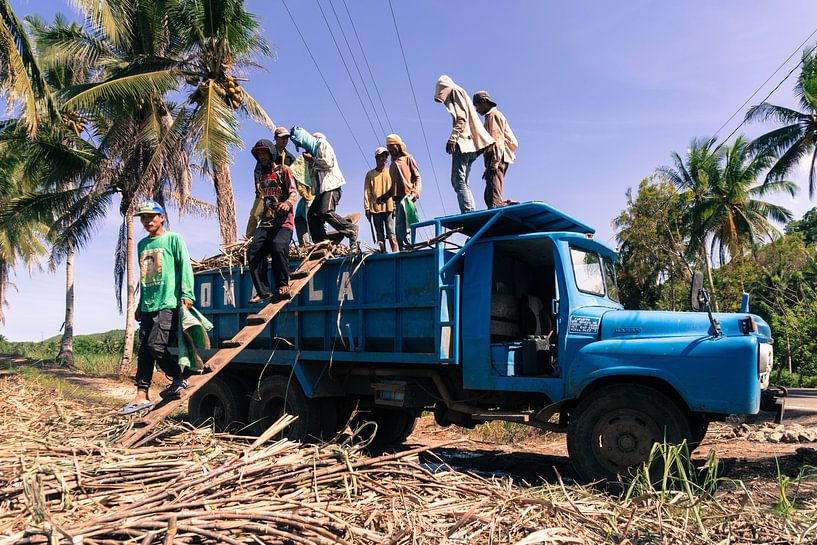 Auf der Zuckerplantage von Ubo Pakes