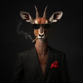 Gazelle with cigar and sunglasses